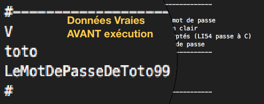 Avant exécution